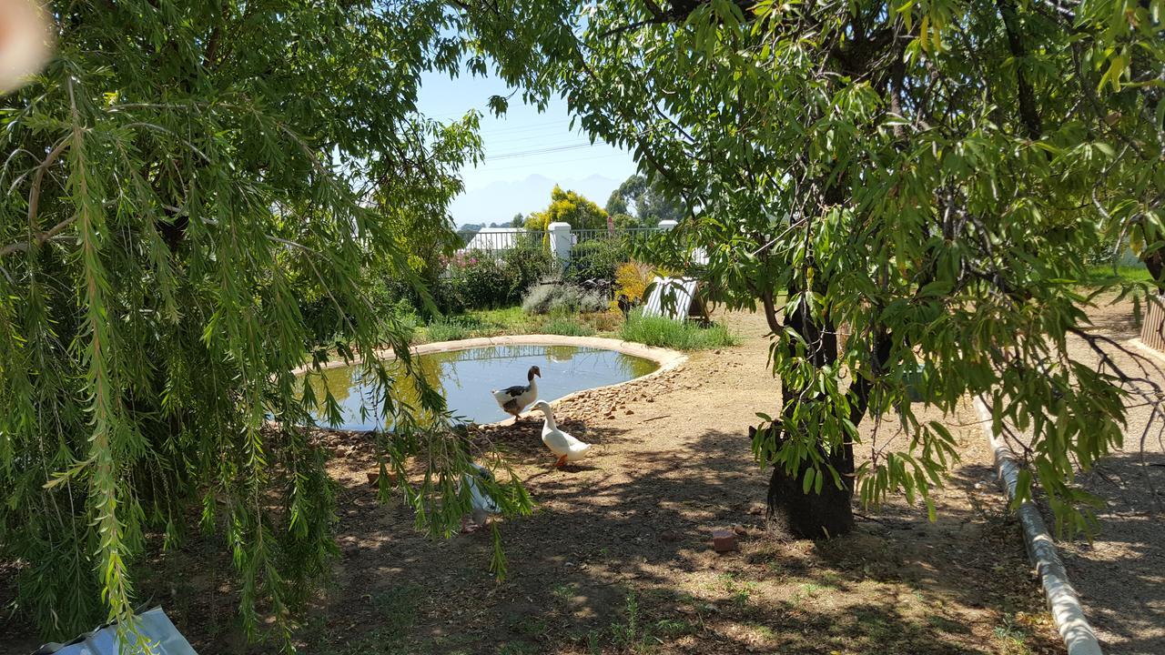 Merindol Manor Riebeek-West Exterior foto